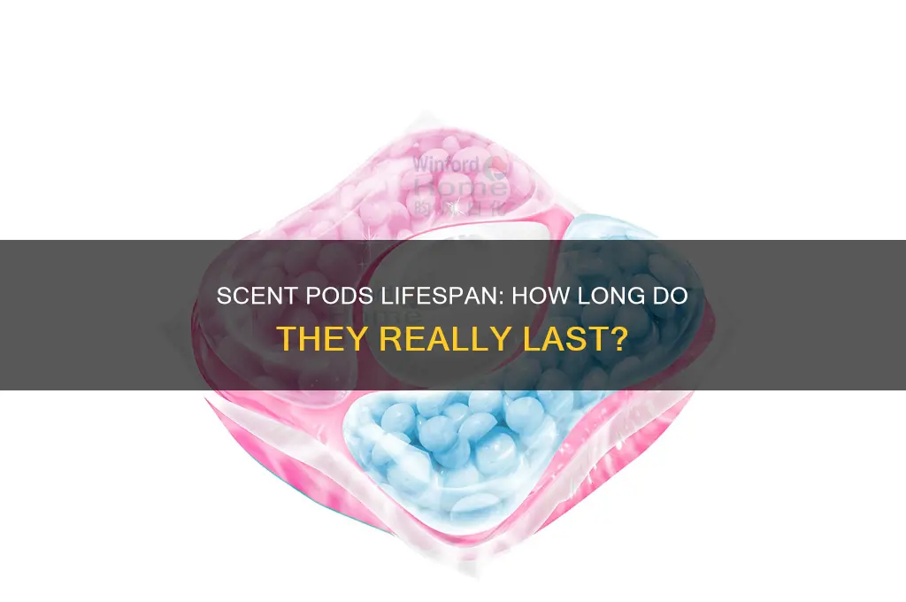 how long do scent pods last