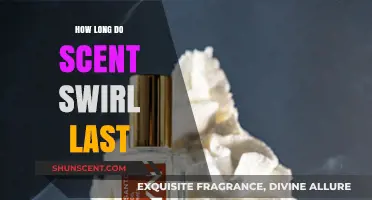 Scent Swirl Longevity: How Long Do They Truly Last?