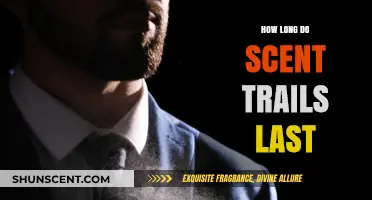 Understanding Scent Trail Longevity: Factors Affecting Duration and Detection