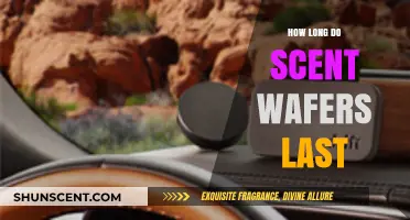 Scent Wafers Lifespan: How Long Do They Last?