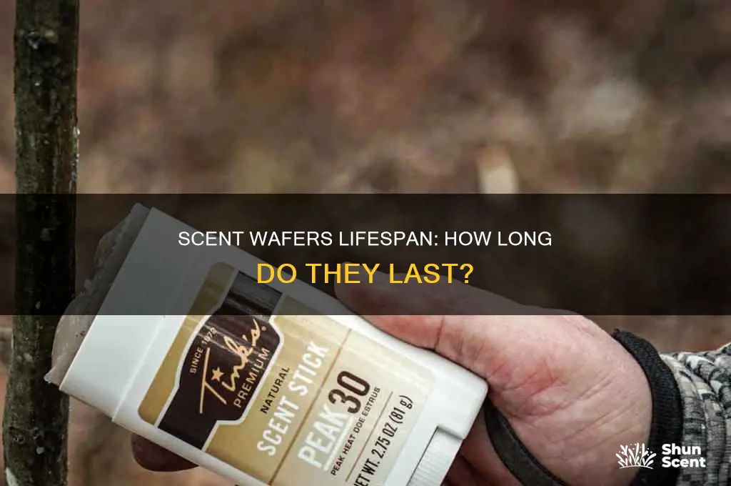 how long do scent wafers last