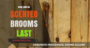 Scented Brooms Lifespan: How Long Do They Stay Fragrant?