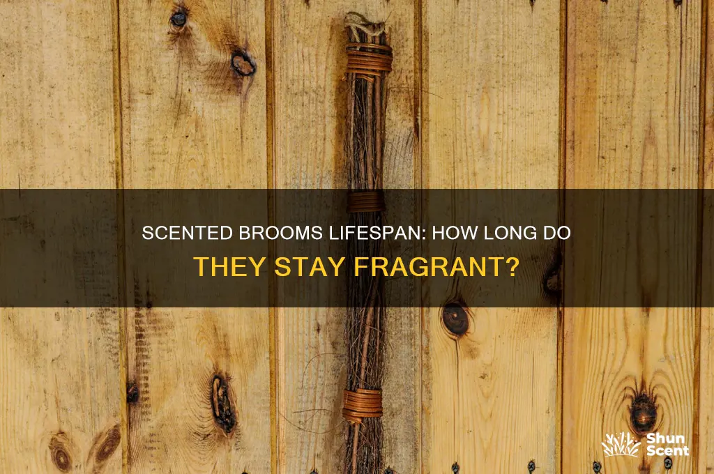 how long do scented brooms last
