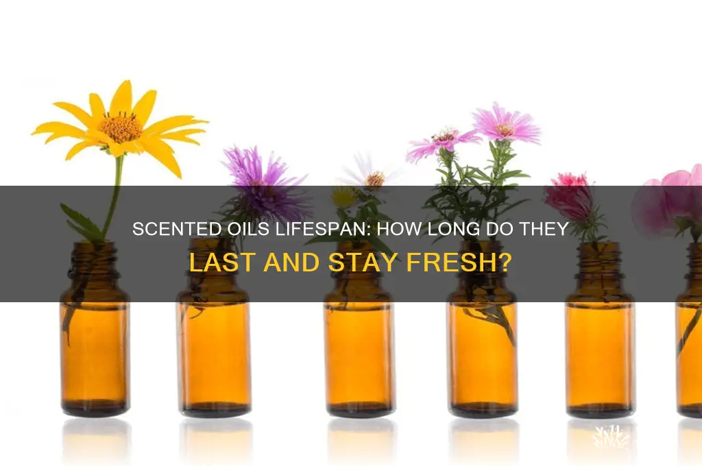how long do scented oils last