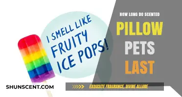 Scented Pillow Pets Lifespan: How Long Do They Stay Fresh?