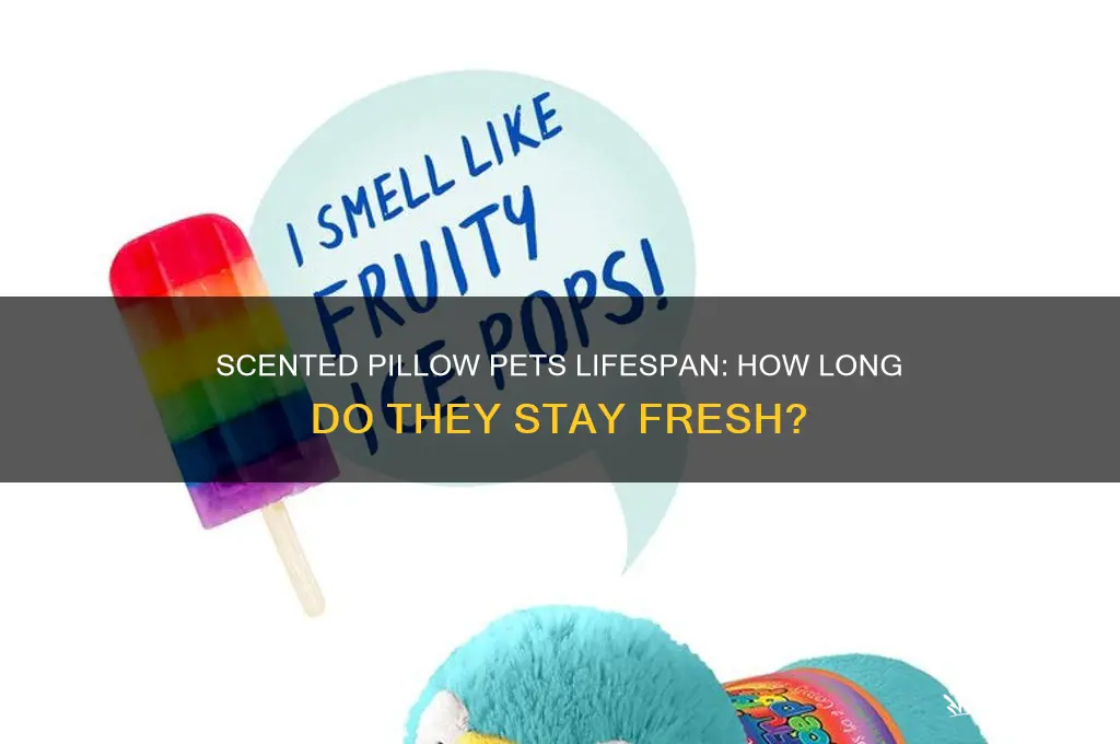 how long do scented pillow pets last