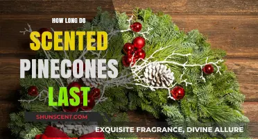 Scented Pinecones Lifespan: How Long Do They Stay Fragrant?