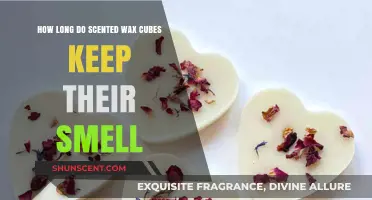 How Long Do Scented Wax Cubes Retain Their Fragrance?