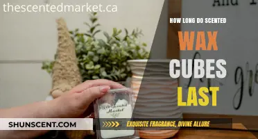 Maximizing Scented Wax Cubes: Duration, Tips, and Longevity Secrets