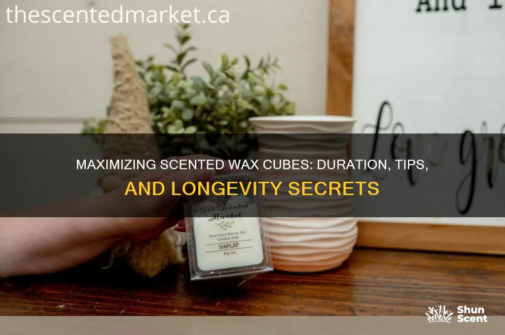 how long do scented wax cubes last