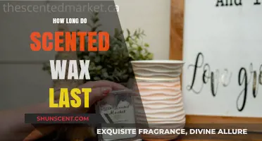 Scented Wax Longevity: How Long Do Fragrances Truly Last?