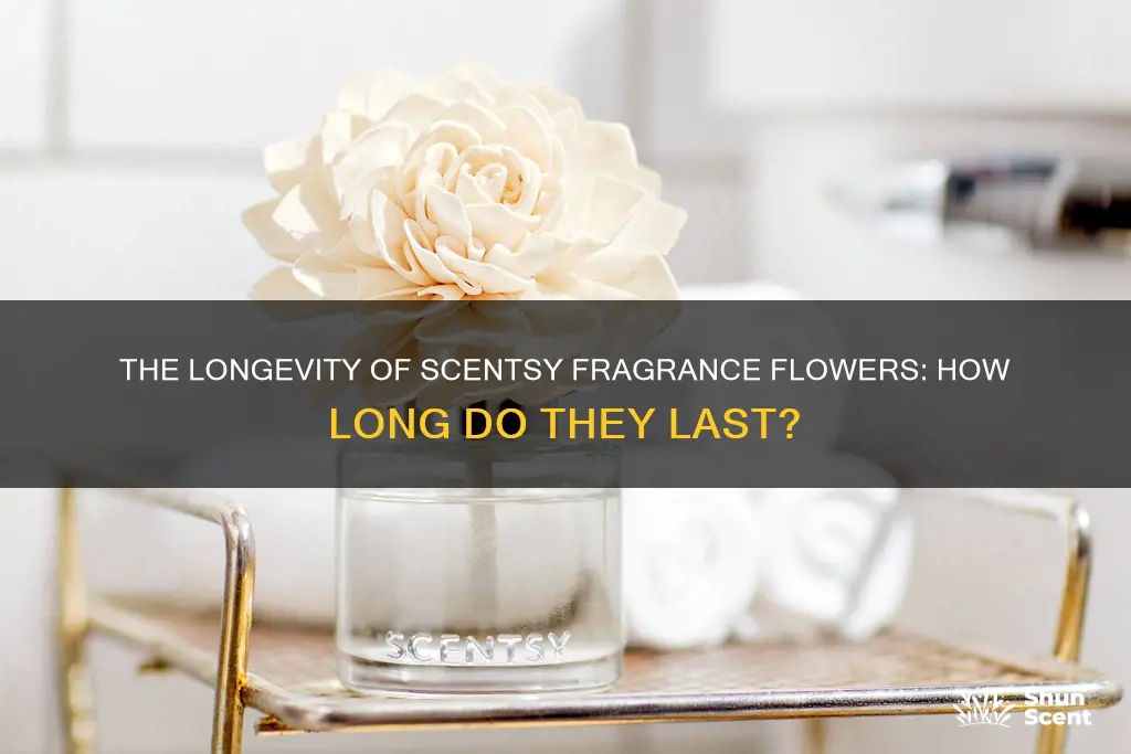 how long do scentsy fragrance flowers last