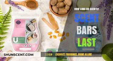 Maximizing Scentsy Scent Bars: Longevity Tips and Usage Guide