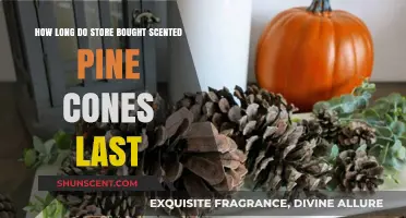 Maximizing Fragrance: Shelf Life of Store-Bought Scented Pine Cones