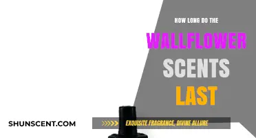 Wallflower Scents: Understanding Their Longevity and Fragrance Duration