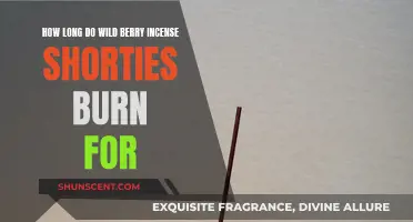 Wild Berry Incense Shorties: How Long Do They Last?