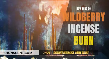 Wildberry Incense: How Long Does the Fragrance Last?