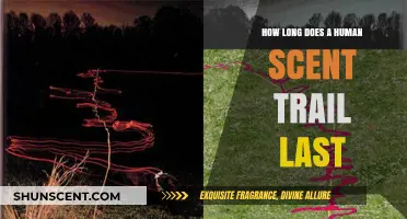 How Long Does a Human Scent Trail Last?