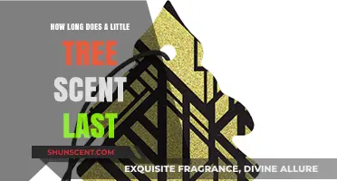 How Long Does Little Tree Air Freshener Scent Last?