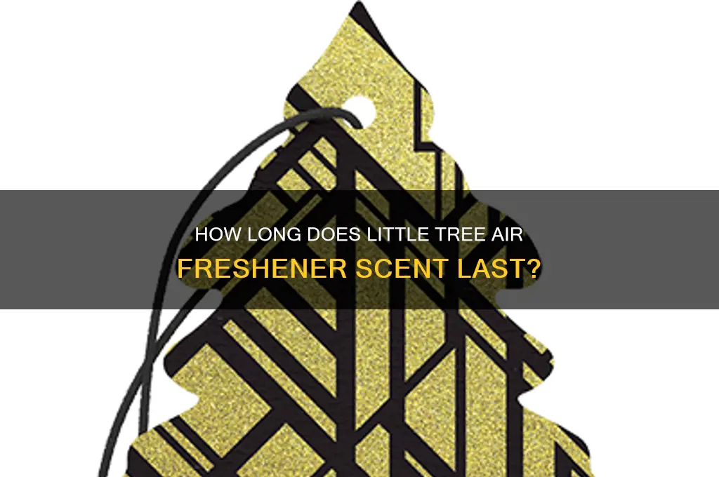 how long does a little tree scent last
