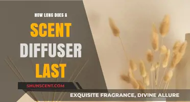 Scent Diffuser Lifespan: How Long Does It Last?