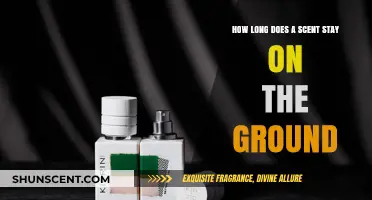 How Long Do Scents Linger on the Ground? A Detailed Guide