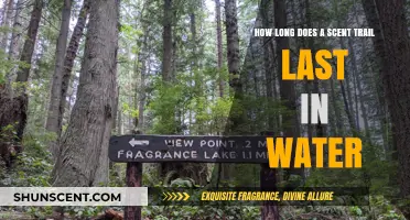How Long Do Scent Trails Last in Water? Uncovering the Facts
