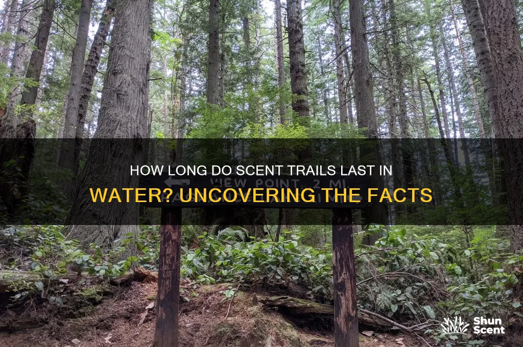 how long does a scent trail last in water