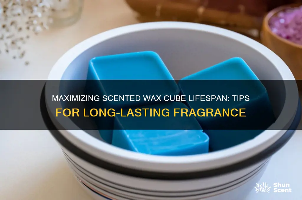 how long does a scented wax cube last