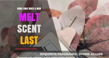 How Long Does Wax Melt Scent Last? A Complete Guide