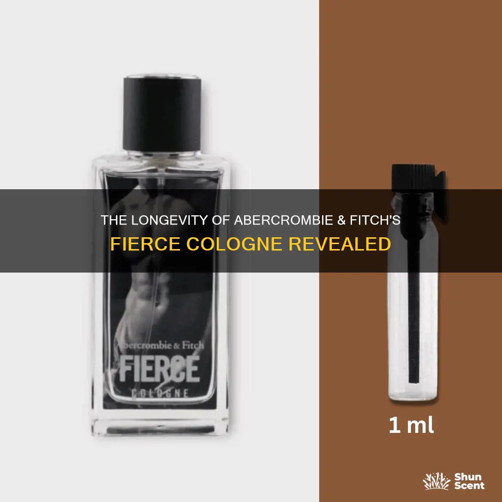 how long does abercrombie and fitch fierce cologne last