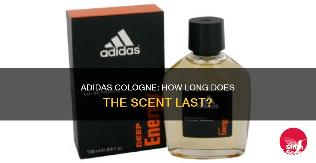 how long does adidas cologne