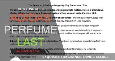 Adidas Perfume: How Long Does the Scent Last?
