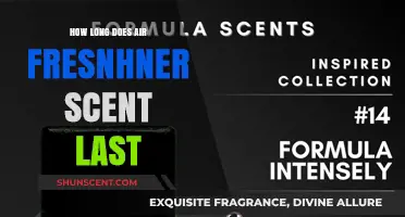 How Long Do Air Freshener Scents Typically Last?