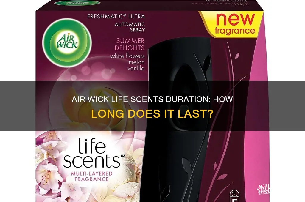 how long does air wick life scents last