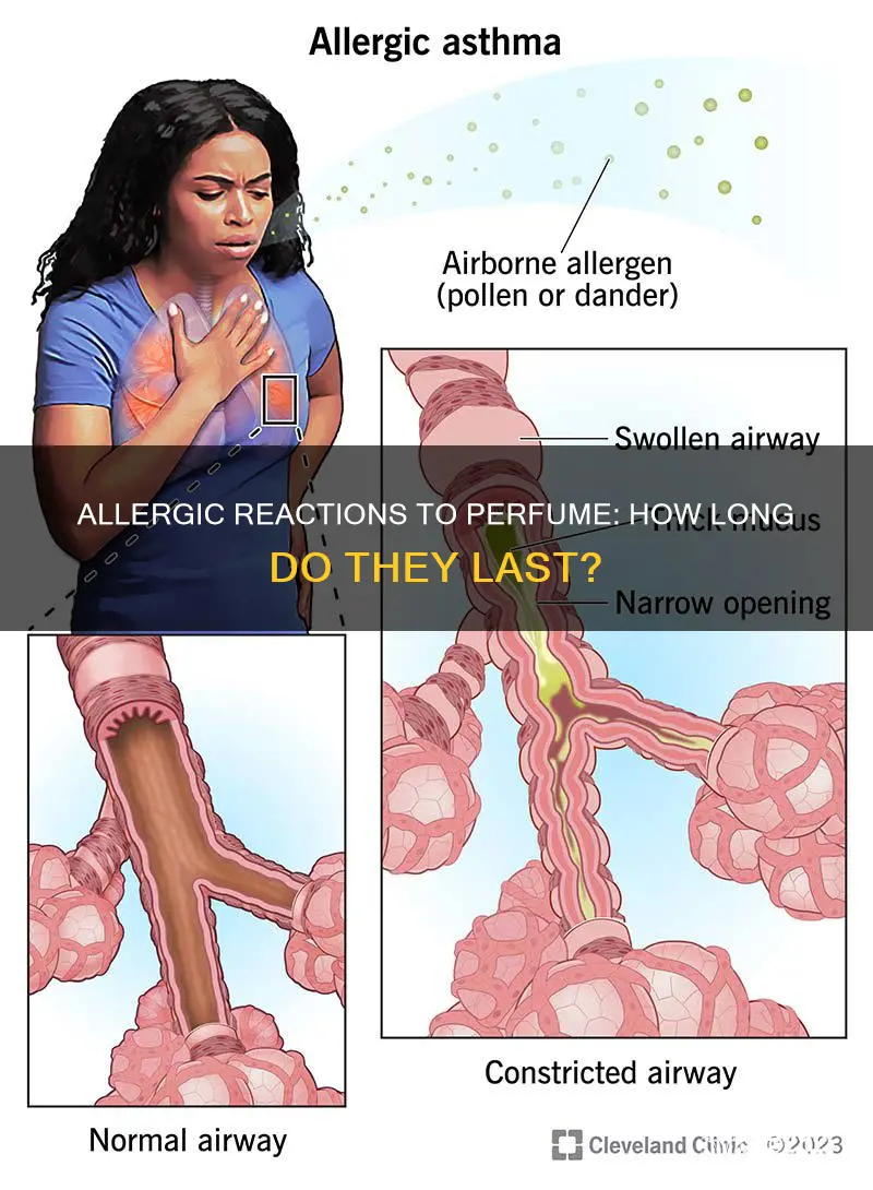how long does allergy to perfume smell last