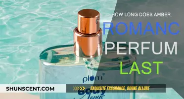 The Longevity of Amber Romance: How Long Does It Last?