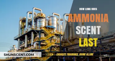 How Long Does Ammonia Smell Linger and How to Eliminate It