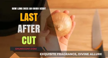 How Long Does Onion Smell Linger After Cutting: A Guide