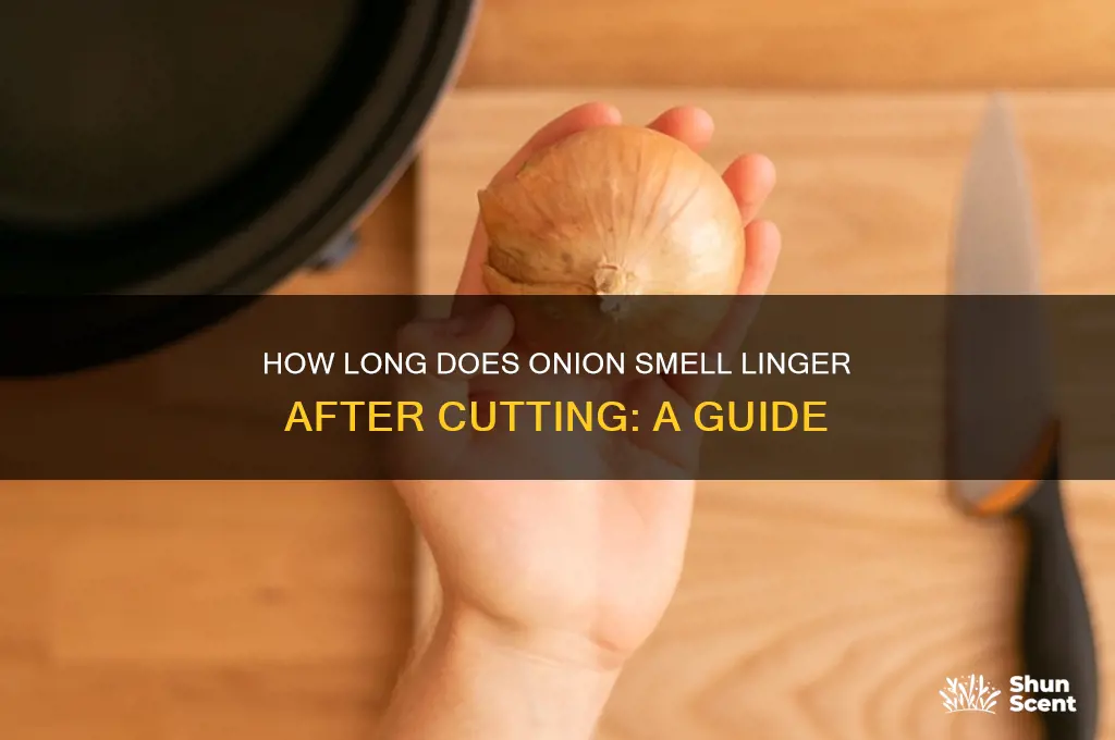 how long does an onion scent last after cut
