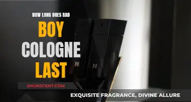 The Longevity of Bad Boy Cologne: How Long Does It Last?