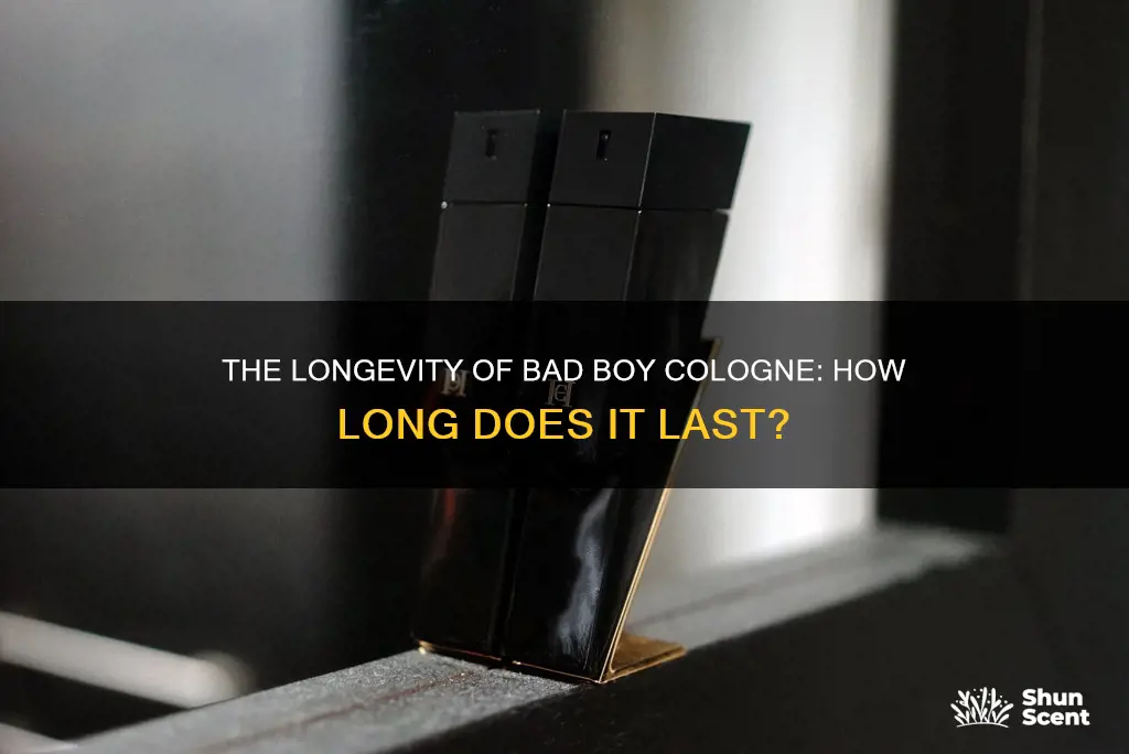 how long does bad boy cologne last