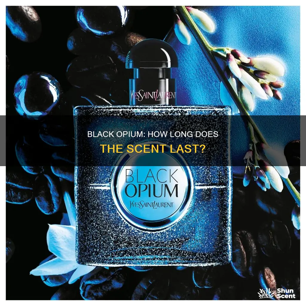 how long does black opium perfume last