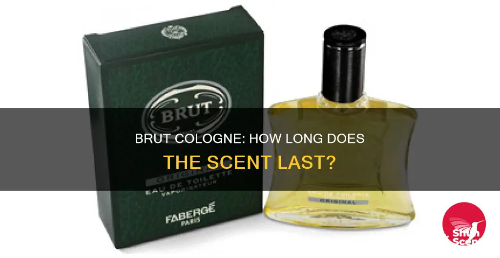 how long does brut cologne last