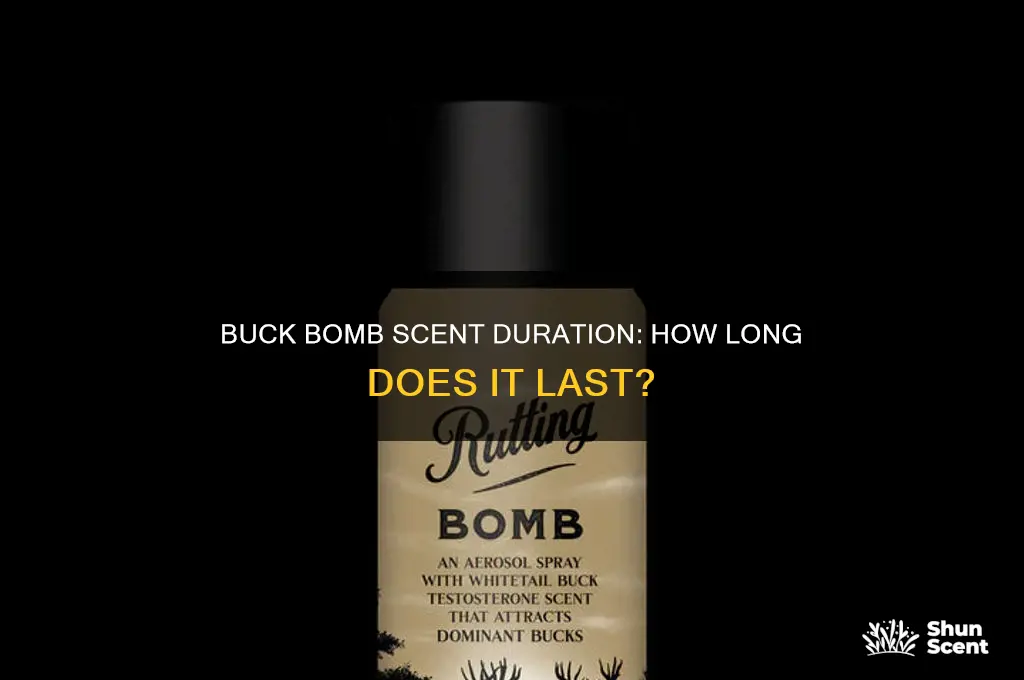 how long does buck bomb scent last