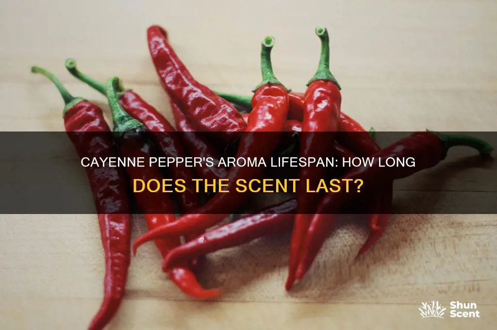 how long does cayenne pepper keep its scent