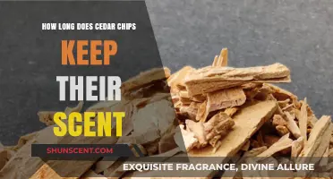 How Long Do Cedar Chips Retain Their Fresh Scent?