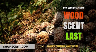 Cedar Wood Scent Longevity: How Long Does the Aroma Last?