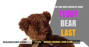 Chocolate Scented Teddy Bear: Duration of the Sweet Aroma Explained