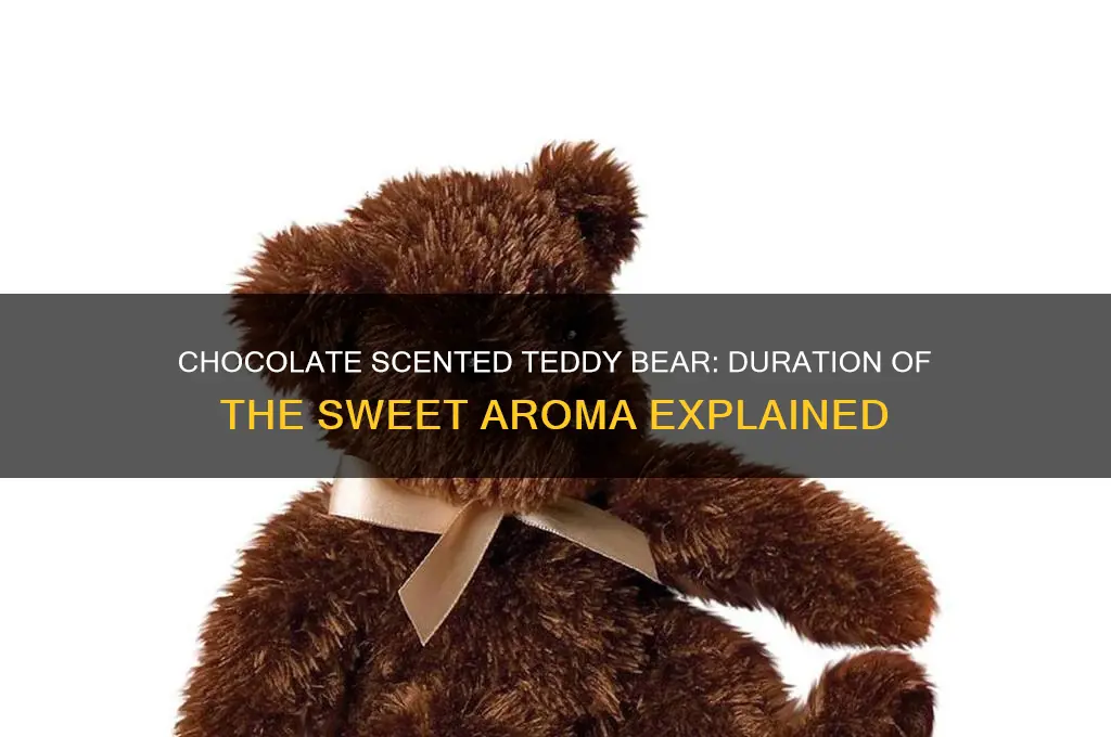 how long does chocolate scent teddy bear last